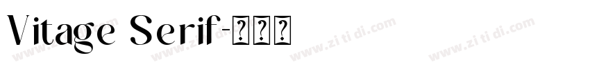 Vitage Serif字体转换